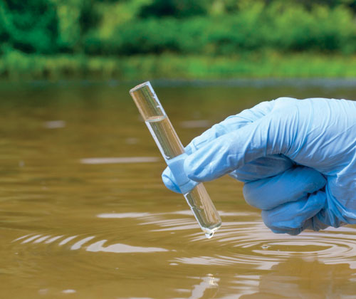 environmental survey services port harcourt nigeria