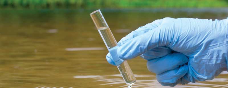 environmental survey services port harcourt nigeria